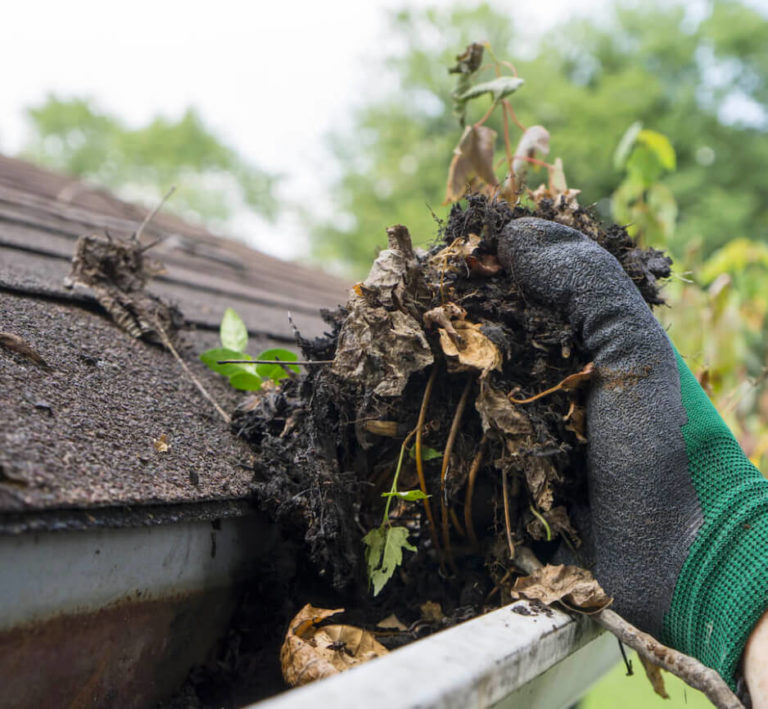 Springrock A FullService Gutter Company