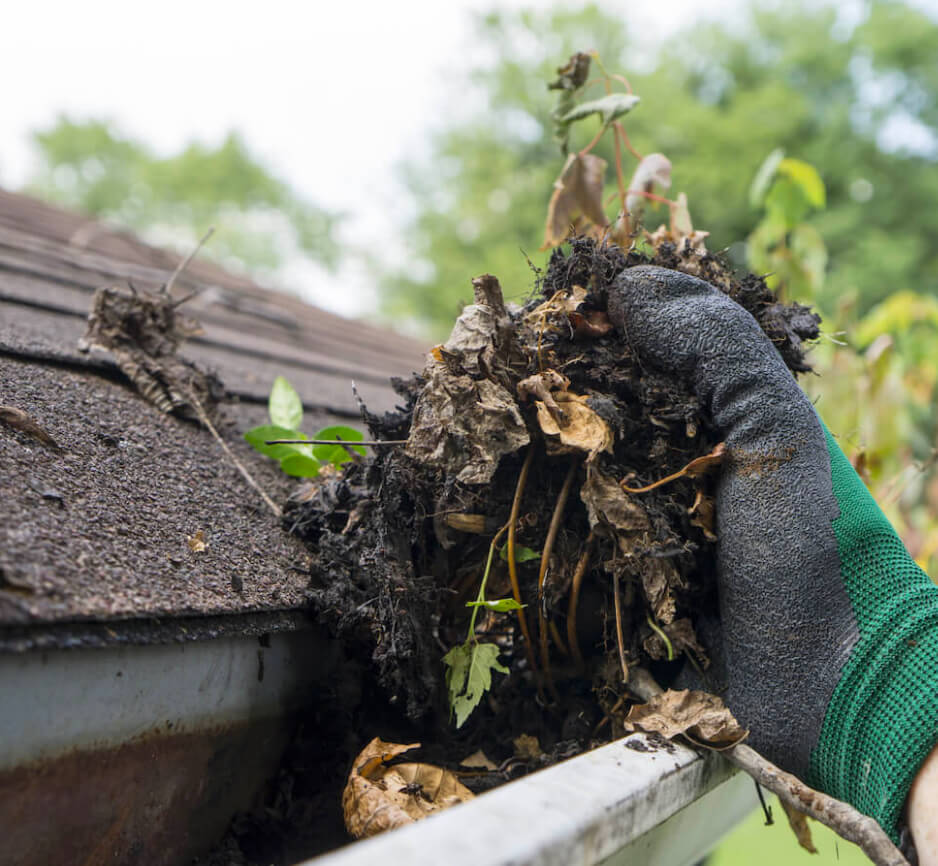 Cleaning Leaves from Gutters