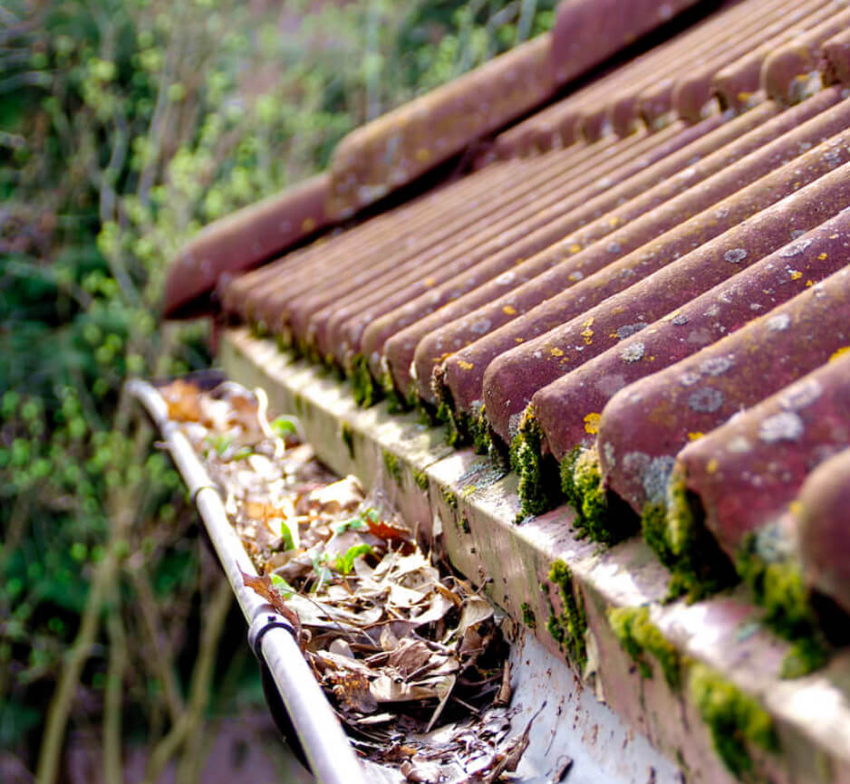 Leaves in Gutters